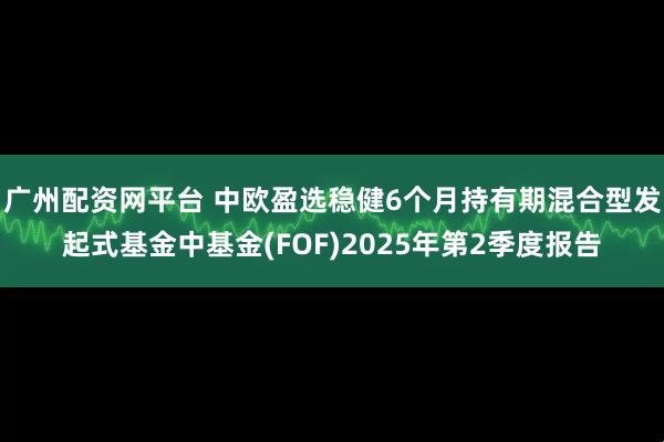 广州配资网平台 中欧盈选稳健6个月持有期混合型发起式基金中基金(FOF)2025年第2季度报告