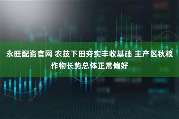 永旺配资官网 农技下田夯实丰收基础 主产区秋粮作物长势总体正常偏好