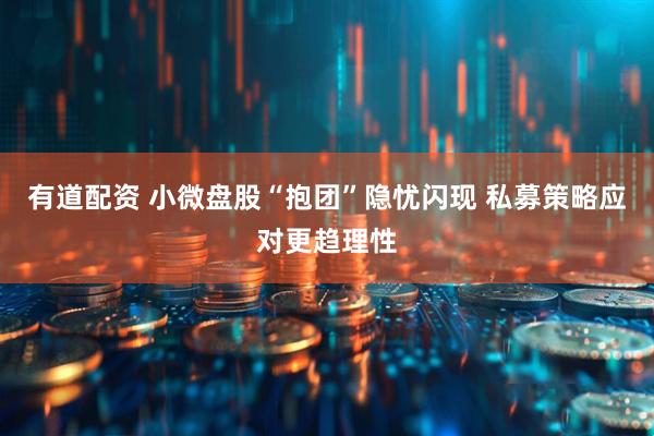 有道配资 小微盘股“抱团”隐忧闪现 私募策略应对更趋理性